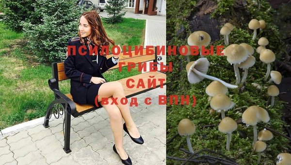 эйфоретик Алексин