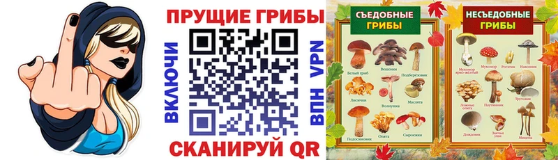 Псилоцибиновые грибы ЛСД  купить наркотики цена  Ядрин 